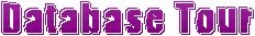 Datenbank-Tool und Report-Generator